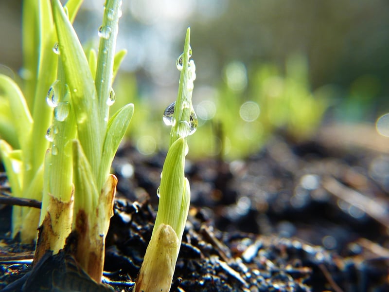 Sustainability News